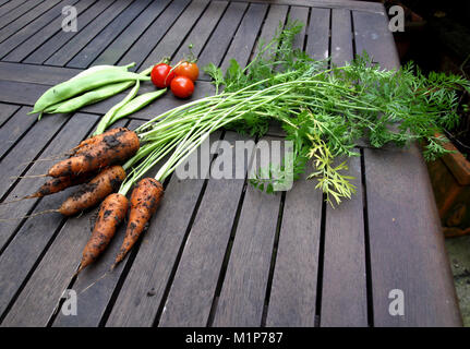 Home Gemüse, Möhren, Bohnen und Tomaten frisch aus dem Garten Stockfoto