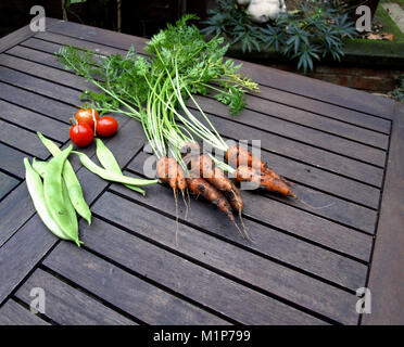 Home Gemüse, Möhren, Bohnen und Tomaten frisch aus dem Garten Stockfoto