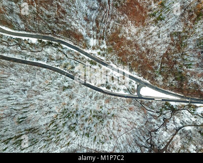 Luftbild von Oben nach Unten Blick über Winter Straße geradeaus durch den Pine Tree verschneiten Wald Stockfoto