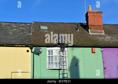 Ein Dachdecker Instandsetzung ein Dach von einem bunten traditionellen englischen Haus in Wellington, Somerset, Großbritannien Stockfoto