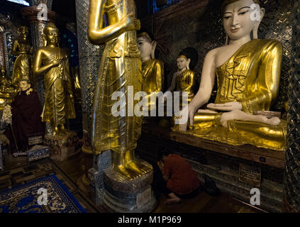 Frau betet unter Statuen von Buddha, Shwedagon Tempel, Yangon, Maynmar Stockfoto