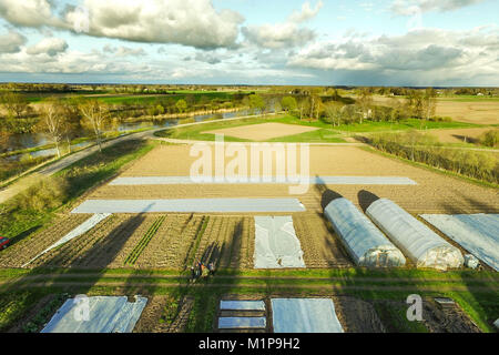 Luftbild oben Landschaft. Landarbeiter werden fertig für den Anbau von Gemüse, Obst und Kräutern. Eine Szene von Gepflügt, Feldern, grünes Gras Stockfoto