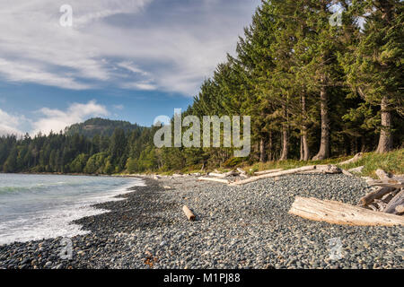 Wellen, Treibholz am Pacific Pebble Beach, Französisch Beach Provincial Park, Southern Vancouver Island, British Columbia, Kanada Stockfoto