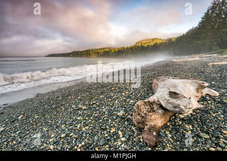 Wellen, Treibholz am Pacific Pebble Beach, Nebel bei Sonnenuntergang, Französisch Beach Provincial Park, Southern Vancouver Island, British Columbia, Kanada Stockfoto