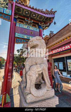 Eines der steinernen Löwen bewacht das Tor in Chinatown in Victoria, Vancouver Island, British Columbia, Kanada Stockfoto