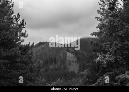 Blick von der Burg Strecno Stockfoto