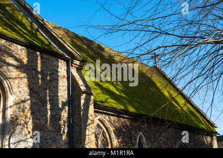 Saint Mary's Houghton mit wyton Kirche mit ihren grünen Moos bedeckte Dach auf Mühle St., Houghton, Cambridgeshire, England, UK. Stockfoto