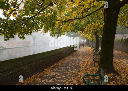 Weiblich gekleidet in Rosa zu Fuß neben der von Bäumen gesäumten Graben und Bishop's Palace an einem nebligen herbstlichen November Morgen, Wells, Somerset. Stockfoto