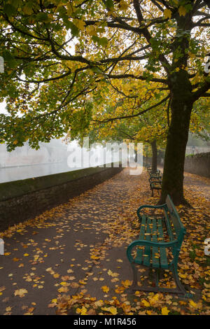 Herbst Blick auf den von Bäumen gesäumten Weg neben dem Graben von Bishop's Palace in Wells, Somerset. Stockfoto