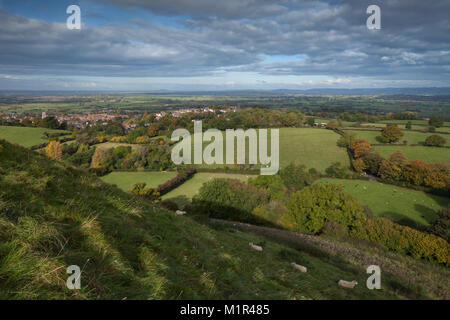 Die Stadt Glastonbury aus der steilen Grashängen von Glastonbury Tor mit der Somerset Levels und Mendip Hills in der Ferne, Somerset, UK gesehen. Stockfoto