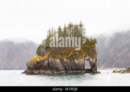 Eine kleine Insel in der Aialik Bay in Alaska mit Bäumen. Stockfoto