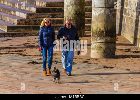 Hund Spaziergänger auf Küste von Torquay durch die konkrete Verteidigung das Meer und die Promenade entlang Torre Strand, Torquay, Torbay, Devon, Großbritannien. Februar 2018. Stockfoto