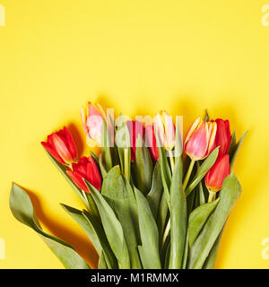 Blick von oben auf die roten Tulpen auf gelbem Hintergrund Stockfoto