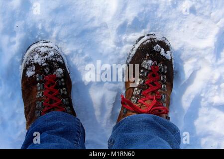 Wandern auf den Wanderwegen in den verschneiten Wald im Monat Januar. Stockfoto