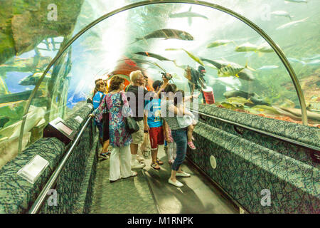 Unterwasserwelt war ein ozeanarium auf dem Singapur Insel Sentosa. 1991 eröffnet, es geschlossen im Jahr 2016. Es hatte einen 83-Meter travelator. Stockfoto