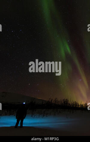 Tromsø, Norwegen. Leigh Emmerson unter Nordlicht anzeigen. Stockfoto