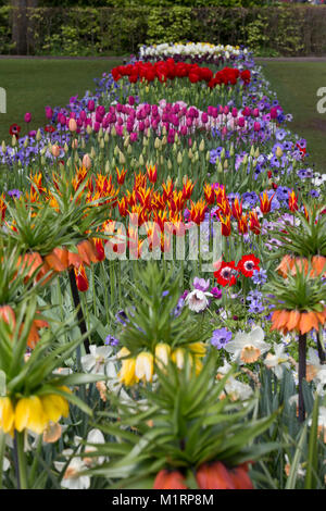 Gemischte Pflanzungen von Frühling Birnen im Keukenhof Gärten Stockfoto