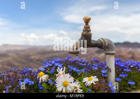 Blaue Blumen und Gänseblümchen mit Wasserhahn und blurry Berge im Hintergrund. Foto Stockfoto