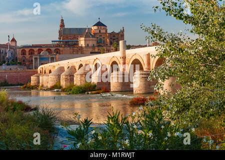 Mezquita und römischen Brücke in Cordoba, Spanien Stockfoto