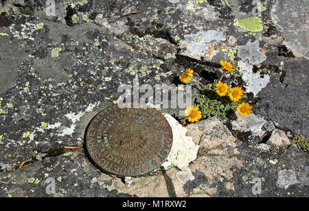 WA 13202-00 ... WASHINGTON - Vermessungsamt Marker und Wildblumen auf dem Gipfel des Snoqualmie Berg im Mount Baker - Snoqualmie National Forest Stockfoto