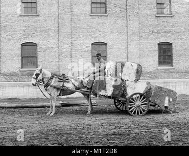 Mann und Baumwolle Warenkorb, Mobile, Alabama, USA, Edward H. Hart für Detroit Publishing Company, 1906 Stockfoto