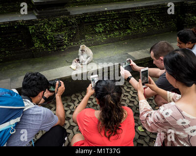 Eine Gruppe von geduckt internationale Touristen, die Bilder von einem Affen mit seinem Baby in der Heiligen Affenwald in Ubud. Bali Indonesien 27. Dezember 2017 Stockfoto