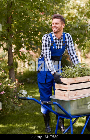 Fröhliche Gärtner Aussaat Sämling Stockfoto