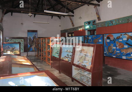 Annapurna Natural History Museum in Pokhara Nepal. Stockfoto