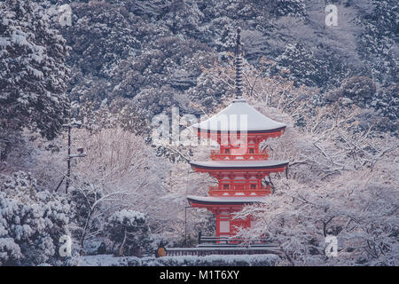 Schönen Winter Saison der Roten Pagode am Kiyomizu-dera Tempel umgeben mit Bäumen weißen Schnee Hintergrund in Kyoto, Japan. Stockfoto