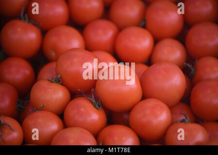 Nahaufnahme Nahrung von einigen roten Früchten Tomaten, frische ganze Gesund roh reif und saftig und in sehr gutem Zustand für einen Hintergrund Stockfoto