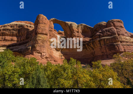 Hochzeit Ring Arch in Salt Creek Canyon im Needles District des Canyonlands National Park, Utah, USA Stockfoto