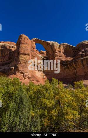 Hochzeit Ring Arch in Salt Creek Canyon im Needles District des Canyonlands National Park, Utah, USA Stockfoto
