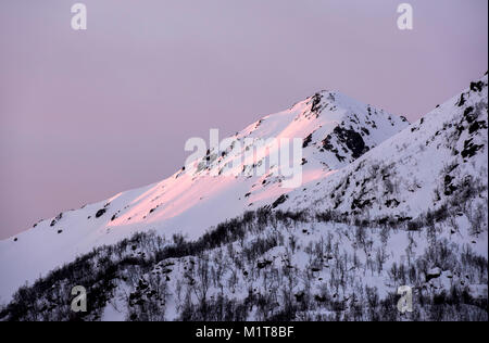 Sonnenlicht berühren die oberen der schneebedeckten Berge in Nordland, Norwegen Stockfoto