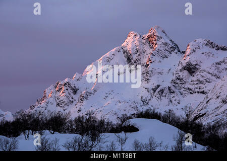 Sonnenlicht berühren die oberen der schneebedeckten Berge in Nordland, Norwegen Stockfoto