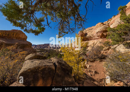 Blick von in der Nähe der Kathedrale Butte trailhead für Salt Creek Canyon im Needles District des Canyonlands National Park, Utah, USA Stockfoto