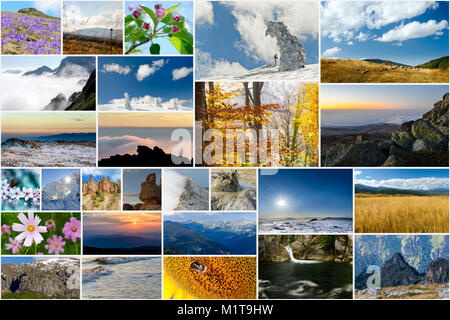 Collage aus verschiedenen Natur Fotos in verschiedenen Jahreszeiten Stockfoto