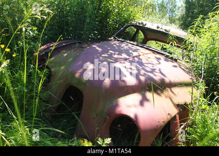 Die verlassenen Auto Friedhof tief in den Schwedischen Wäldern versteckt. Die Natur nimmt langsam steuern. Stockfoto