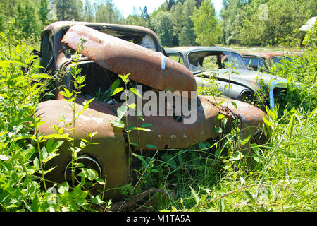 Die verlassenen Auto Friedhof tief in den Schwedischen Wäldern versteckt. Die Natur nimmt langsam steuern. Stockfoto