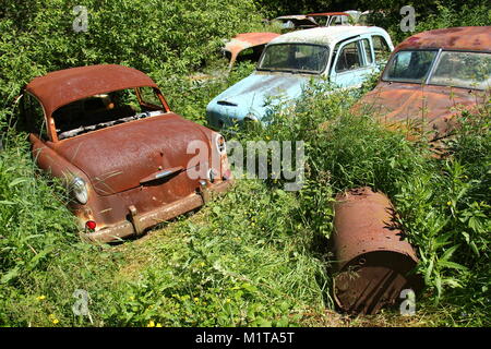 Die verlassenen Auto Friedhof tief in den Schwedischen Wäldern versteckt. Die Natur nimmt langsam steuern. Stockfoto