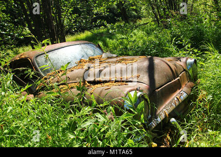 Die verlassenen Auto Friedhof tief in den Schwedischen Wäldern versteckt. Die Natur nimmt langsam steuern. Stockfoto