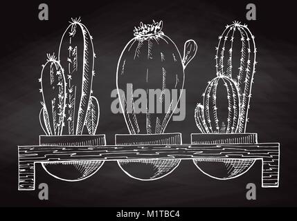 Skizze 3 Sukkulenten in Töpfen auf einen Stand aus Holz auf dem Schwarzen Brett isoliert. Vector Illustration. Stock Vektor