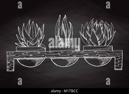 Skizze 3 Sukkulenten in Töpfen auf einen Stand aus Holz auf dem Schwarzen Brett isoliert. Vector Illustration. Stock Vektor