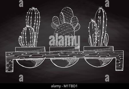 Skizze 3 Sukkulenten in Töpfen auf einen Stand aus Holz auf dem Schwarzen Brett isoliert. Vector Illustration Stock Vektor