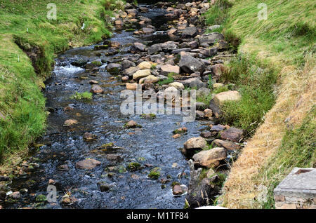 BOYACA, KOLUMBIEN - Januar 23, 2014: Ein natürlicher Bach im Boyaca Feld. Stockfoto