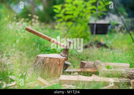 Moody Schuß von ax Schnitt in einem Baumstumpf auf der grünen Landschaft und Wald Hintergrund. Sammeln von Holz für das Lagerfeuer Essen in Crock Pot auf offenem Feuer zu kochen. Barbe Stockfoto