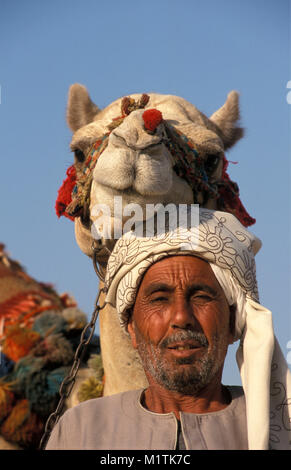 Ägypten, Kairo. Gizeh, Gizeh. Kamel Treiber. Stockfoto