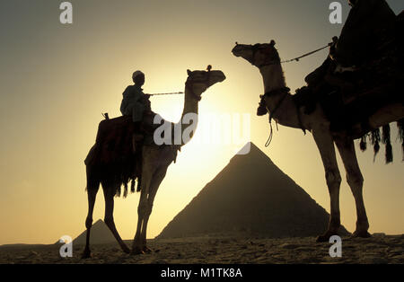 Ägypten, Kairo. Pyramiden von Gizeh oder Gizeh. Männer, Kamel Treiber auf ihren Kamelen in der Wüste in der Nähe von Pyramiden. Unesco-Weltkulturerbe. Stockfoto