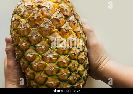 Childs Hand hält grosse reife Ananas. Blick von oben. Stockfoto
