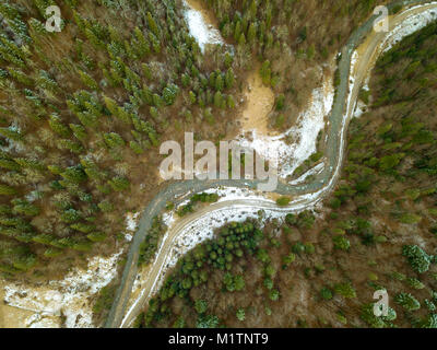 Fichtenwald im Anfang des Winters. Little River. Ein Schnee auf dem Boden. Ansicht von oben senkrecht nach unten Stockfoto
