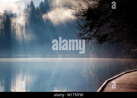 Misty Herbst morgen auf See von Bled, Slowenien Stockfoto